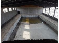 太康县恒温游泳馆